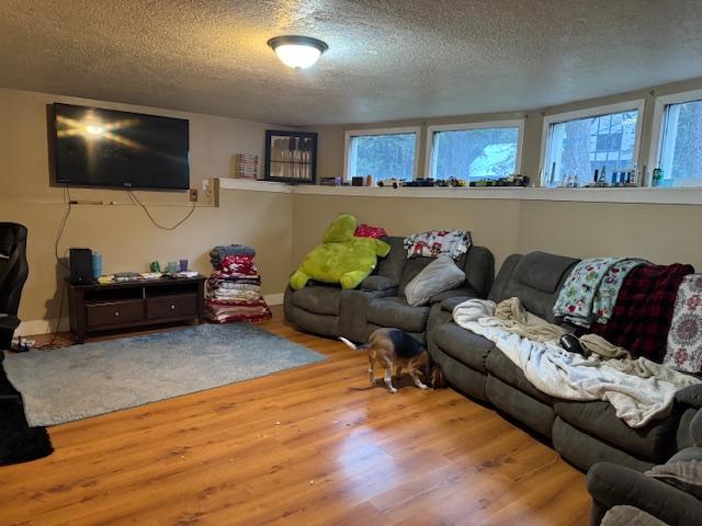 living room with a healthy amount of sunlight, a textured ceiling, and light hardwood / wood-style flooring