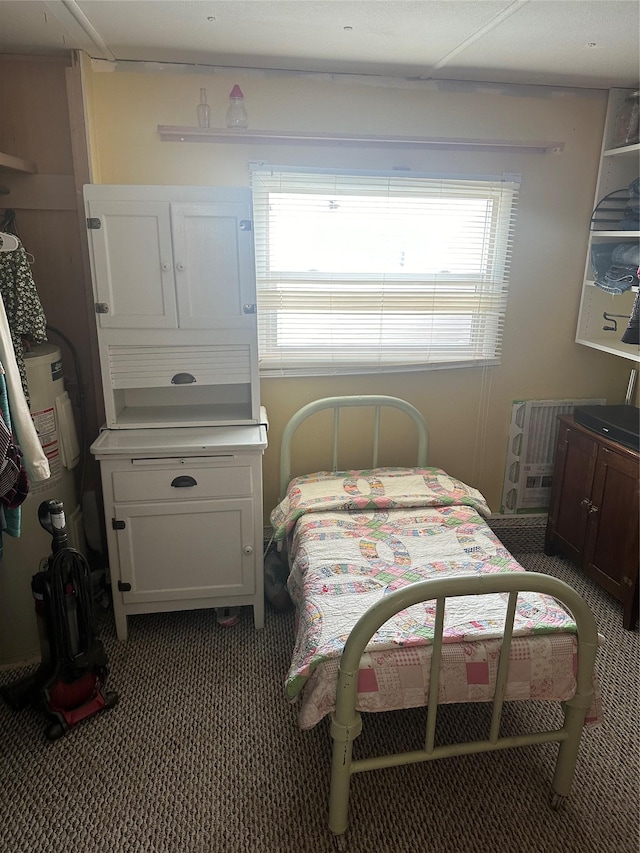 bedroom with dark carpet and multiple windows