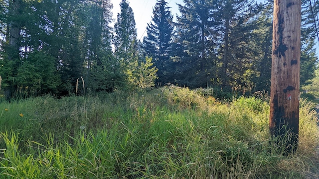 1000 Colorado Ave, Whitefish, MT 59937