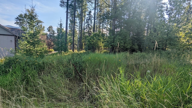 1000 Colorado Ave, Whitefish, MT 59937