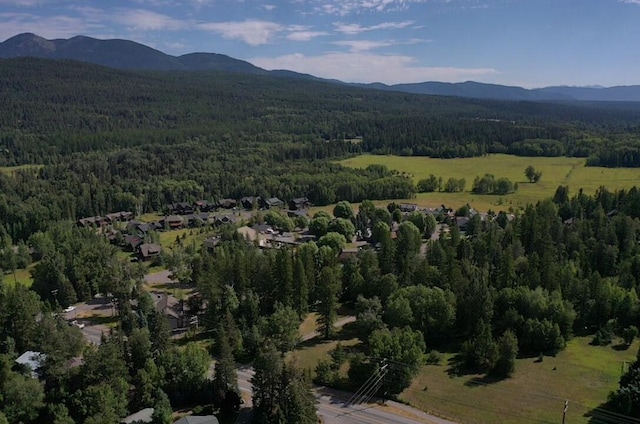 1000 Colorado Ave, Whitefish, MT 59937