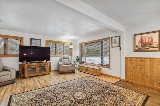 living room with a wainscoted wall, wood finished floors, and wooden walls