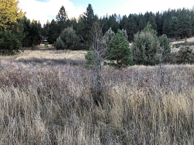 1504 15th Ave E, Polson MT, 59860 land for sale