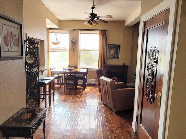 living room with ceiling fan, dark hardwood / wood-style flooring, and a baseboard radiator