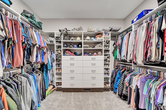 spacious closet with carpet