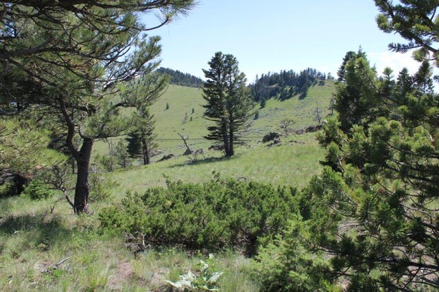 TBD Black Canyon Ln, Cascade, MT 59421