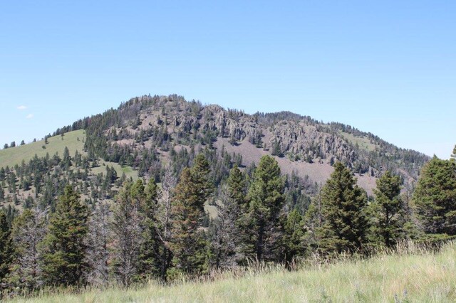 TBD Black Canyon Ln, Cascade, MT 59421
