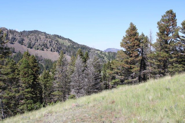 TBD Black Canyon Ln, Cascade, MT 59421