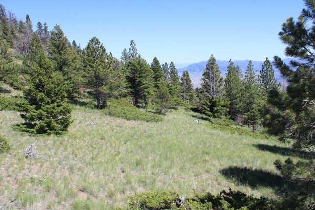 TBD Black Canyon Ln, Cascade, MT 59421