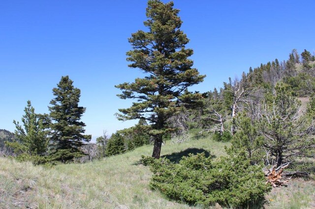 TBD Black Canyon Ln, Cascade, MT 59421