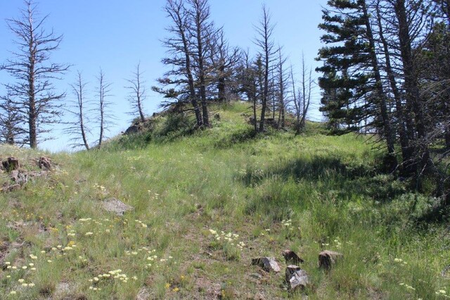 TBD Black Canyon Ln, Cascade, MT 59421
