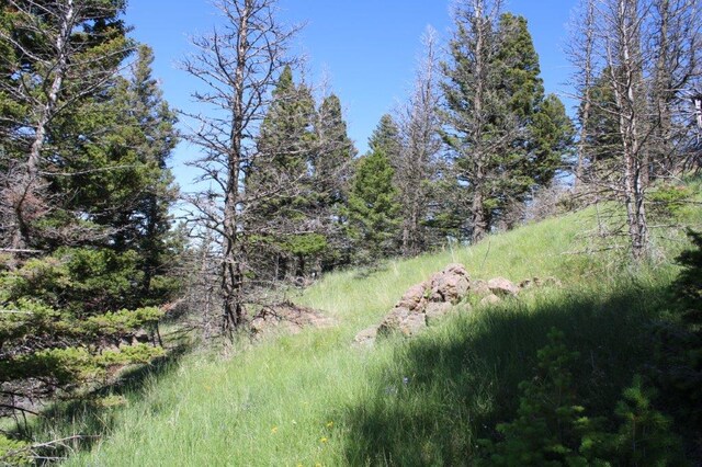 TBD Black Canyon Ln, Cascade, MT 59421