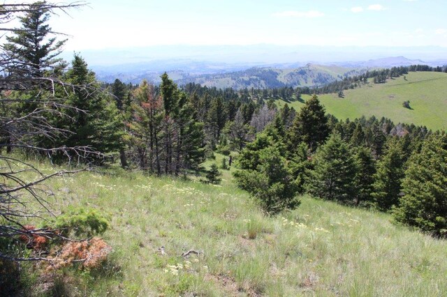 TBD Black Canyon Ln, Cascade, MT 59421