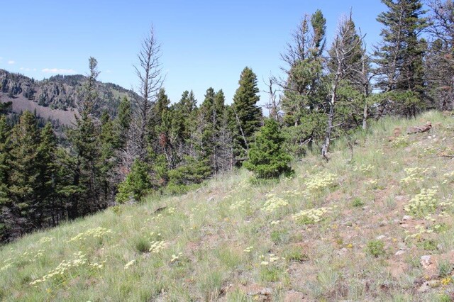 TBD Black Canyon Ln, Cascade, MT 59421