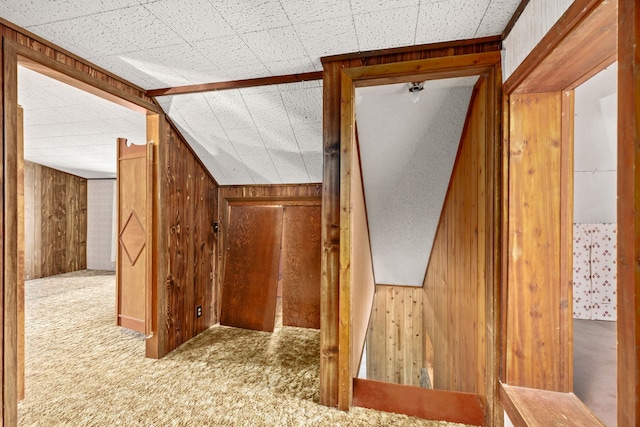 interior space featuring carpet, wooden walls, and lofted ceiling