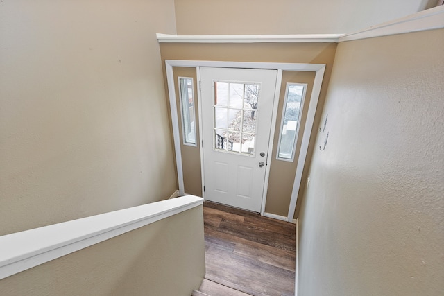 entryway with dark hardwood / wood-style flooring