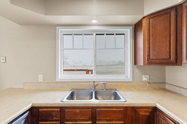 kitchen with dishwasher and sink