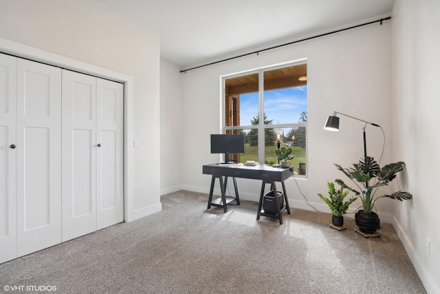 interior space with carpet flooring