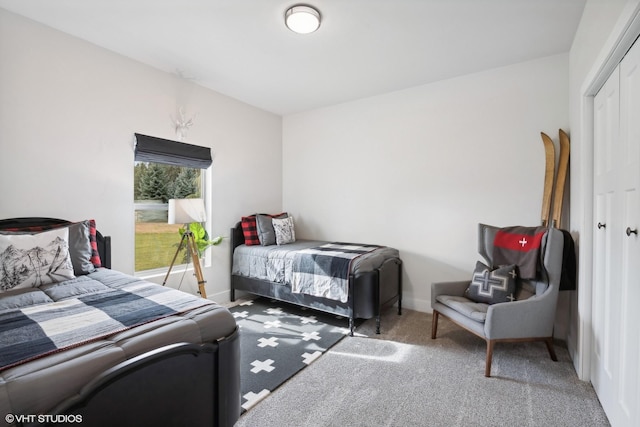 505 Sweetgrass Ranch Rd, Kalispell, MT 59901 - carpeted bedroom with a closet and baseboards