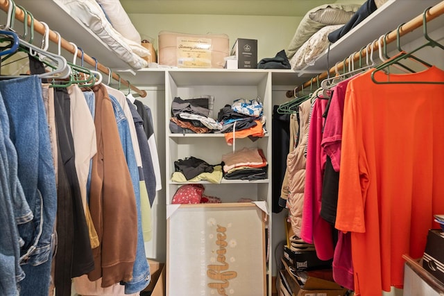 view of spacious closet