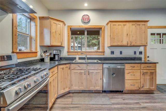 kitchen featuring exhaust hood, sink, light wood-type flooring, and appliances with stainless steel finishes