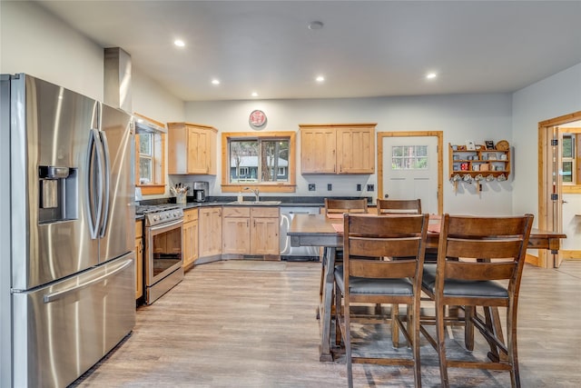 kitchen featuring light brown cabinets, stainless steel appliances, and light hardwood / wood-style floors