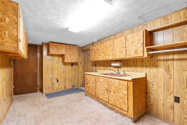 kitchen featuring light countertops, a sink, light colored carpet, and wooden walls