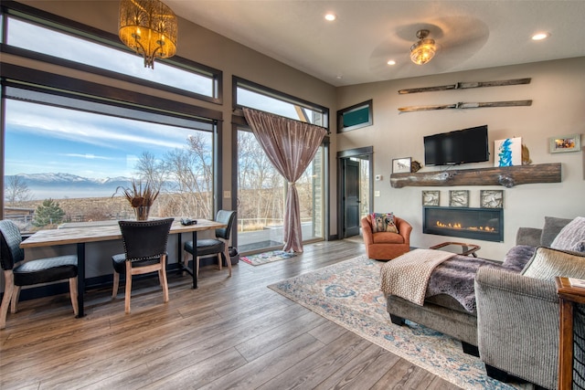 living room featuring hardwood / wood-style floors