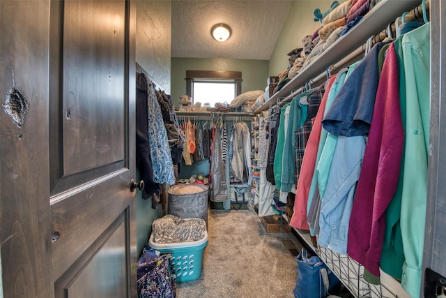 spacious closet featuring carpet flooring