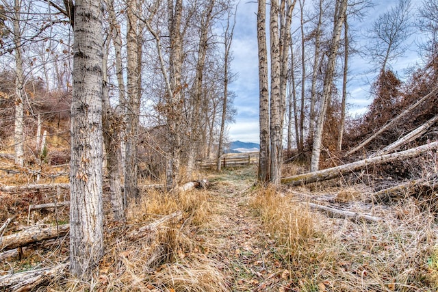 view of local wilderness featuring a mountain view