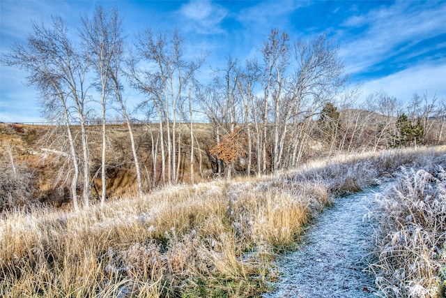 view of landscape