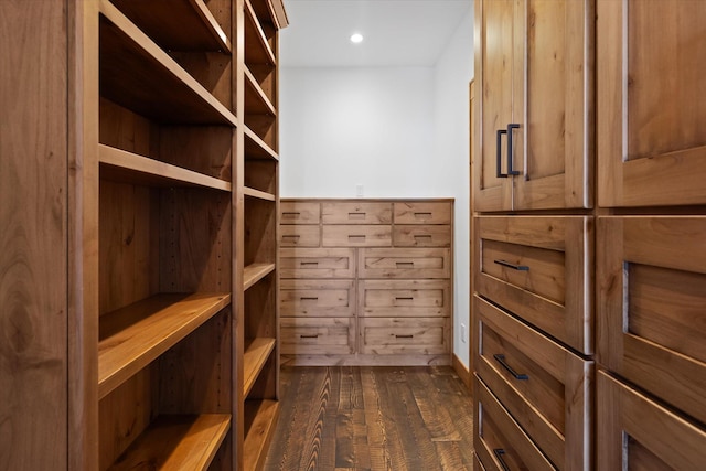 walk in closet featuring dark wood-type flooring