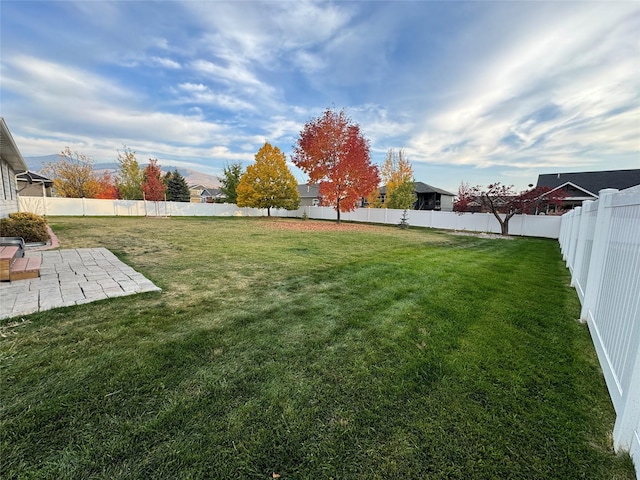 view of yard featuring a patio area