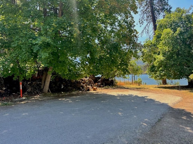 view of yard with a water view