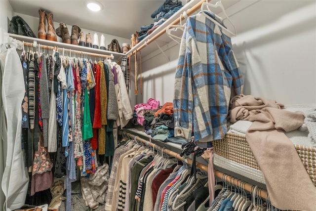 view of spacious closet