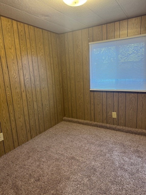 unfurnished room with carpet and wood walls