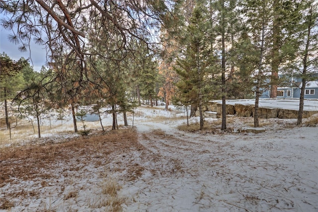 view of snowy yard