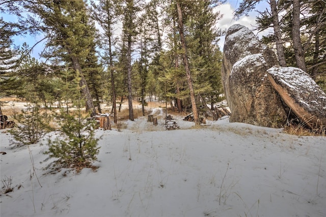 view of snow covered land