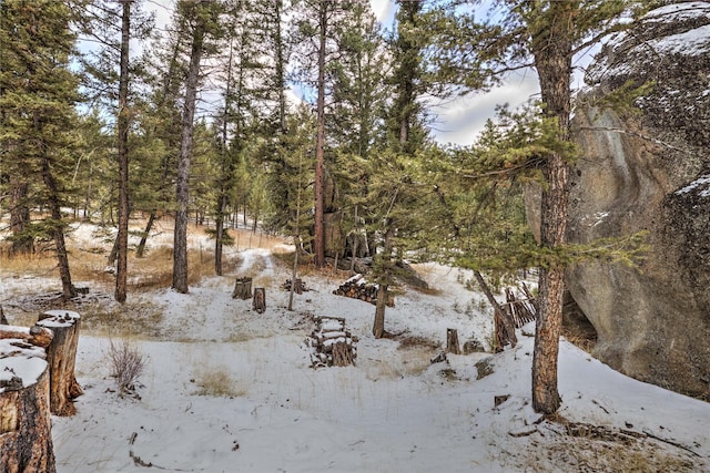 view of snowy landscape