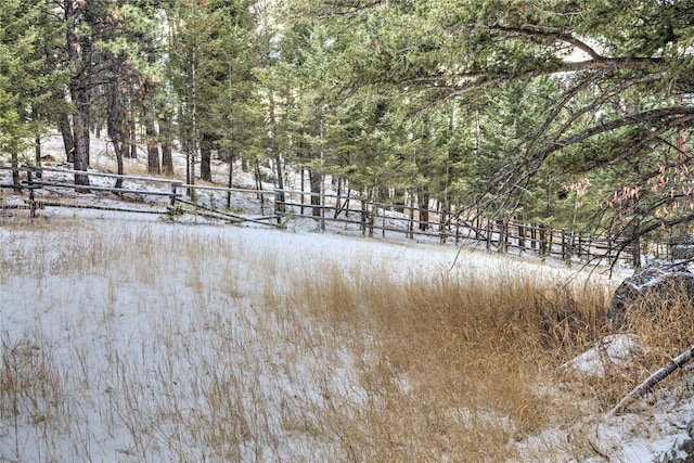 view of local wilderness