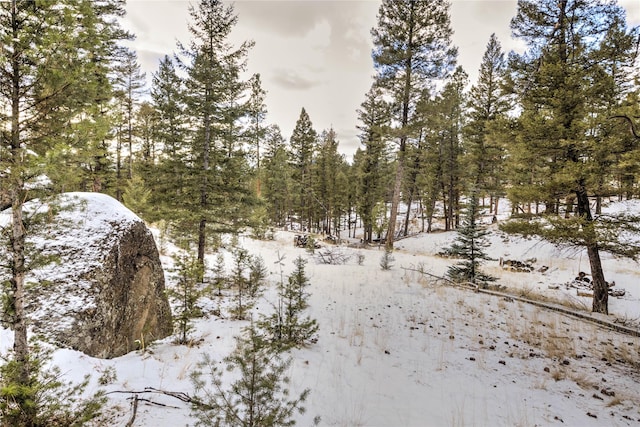 view of snowy landscape