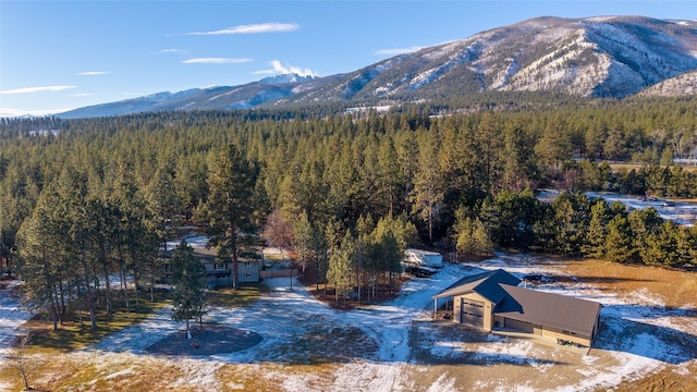 421 Tie Chute Ln, Florence, MT 59833 - property view of mountains
