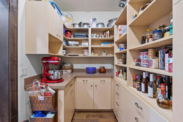 view of pantry