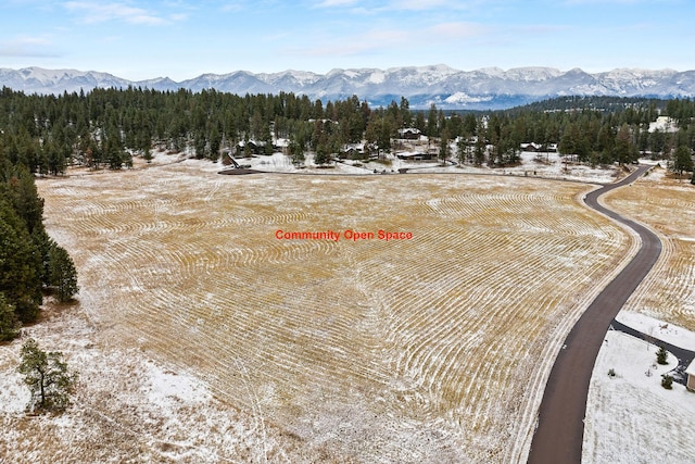 snowy aerial view featuring a mountain view