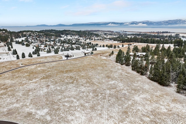 snowy aerial view featuring a mountain view