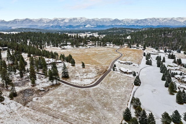 snowy aerial view with a mountain view