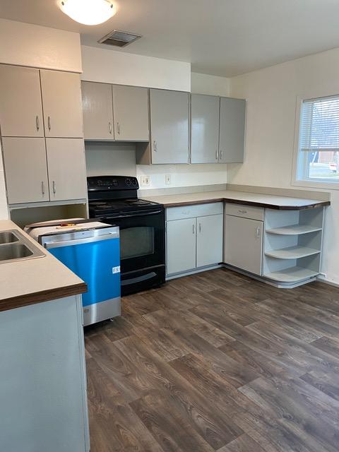 kitchen with gray cabinetry, sink, dark wood-type flooring, and black range with electric cooktop