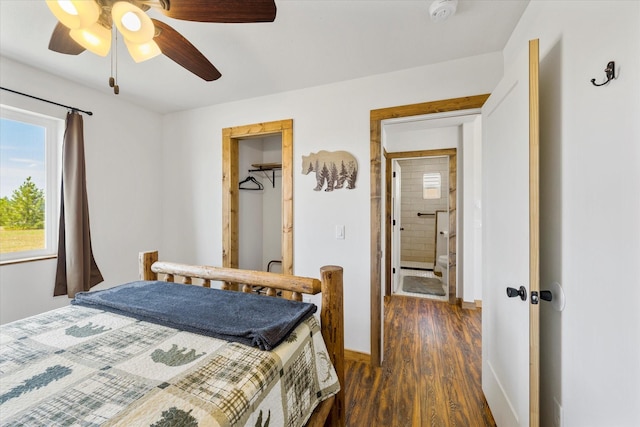 bedroom featuring ceiling fan, dark hardwood / wood-style flooring, a walk in closet, and a closet