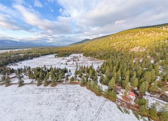 snowy aerial view with a mountain view