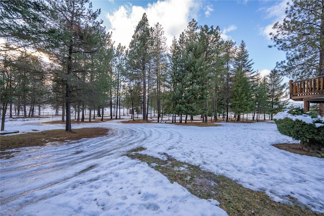 view of snowy yard